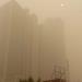 Nueva Delhi supera 25 veces el limite de contaminación marcado por la OMS